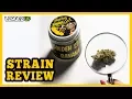 Golden State Banana Weed Strain Review