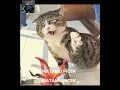 Download Lagu INGAT DARAH KETURUNAN PE KA I AKAN TETAP MENGALIR (MEME)