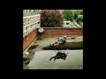 Kwaku Asante - The Real Thing (Official Audio)