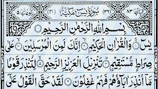 Surah Yaseen #Spirituality Surah Rahman Surah Mulk Ayatul Kursi | Tilawat | Hafiz Farid πβ¨π