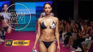 LE DIVE DI DAVID Collective Maredamare 2026 Florence - 4K