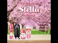 Lagu Stella Sakura Range, Hadirkan Musim Semi Jepang Sekarang!
