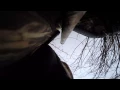 Indiana Waterfowl 2014