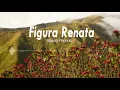 Download Lagu Figura Renata - Balada Penerka