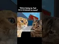 Download Lagu frrr #trend #roblox #music #funny #lol #Mm2 #bores #edit #famousshorts #memes
