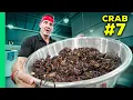 Eating Every Crab in Asia