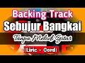 Download Lagu Backing Track Sebujur Bangkai Rhoma Tanpa Melodi gitar