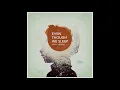 Stray Theories - A Distant Light