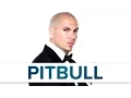Top 10 Facts - Pitbull Top Facts