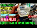 Download Lagu CARA MENGATASI KENARI MACET BUNYI HABIS MABUNG DAN SUARANYA HILANG