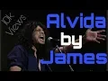 Download Lagu Alvida By James (Lyrics) || Life in a Metro || Pritam || Amitabh Varma
