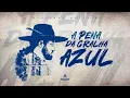 Download Lagu Paulinho Mocelin - A Pena da Gralha Azul