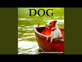 Download Lagu Relaxing Guitar for Dogs