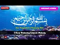 Lagu LIVE | Bacaan Bismillah 5 (100x) - Penawar Penyakit \u0026 Penyejuk Jiwa Daily Dzikir RABU Pagi