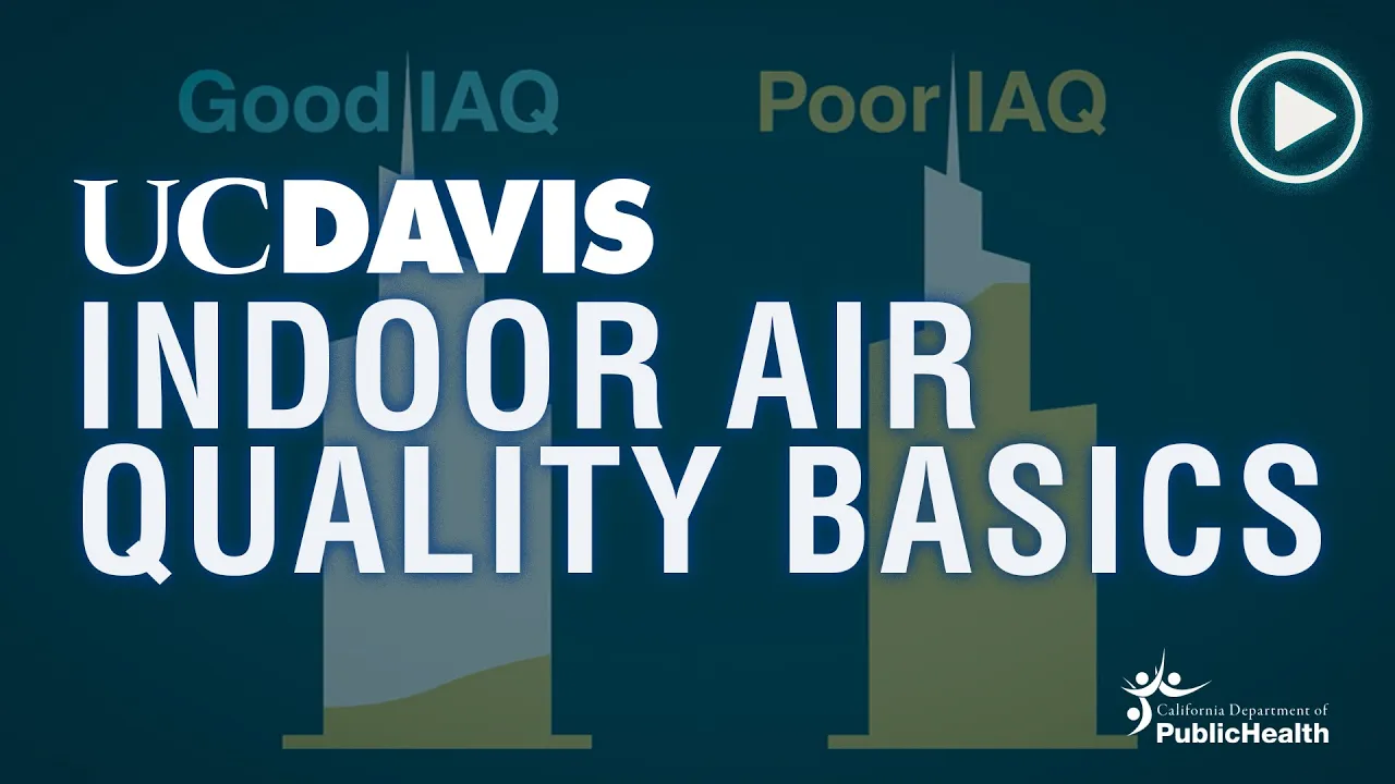 Indoor Air Quality Basics