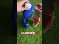 Why to avoid fake football boots