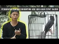 Download Lagu SRIGUNTING ABU !! PERAWATAN HARIAN AGAR CEPAT GACOR