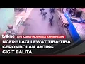 Lagu Kawanan Anjing Serang Bocah di Bandung | AKAP tvOne