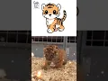 Adorable Tiger Cub Easydrawing - How to Draw Tiger Cute Easy