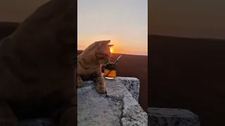 عشرون عاما فوق درب الهوى حالات واتس اب دينية حزينة حالات واتس حزينة لايك 