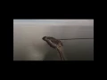 Duck Island Westbrook CT
