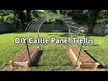 DIY Cattle Panel Trellis How to Make a Garden Arch Trellis