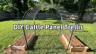 DIY Cattle Panel Trellis How to Make a Garden Arch Trellis