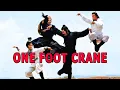 Lagu One Foot Crane (1977) | Lily Li contro Lo Lieh | Kung Fu | Film completo in italiano