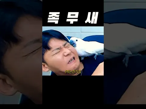 새로운 가족