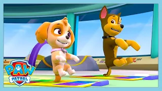 pup pup boogie paw patrol wildbrain kids