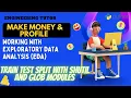 Exploratory Data Analysis EDA Train Test Split of Dataset Shutil Glob Engineering Tutor