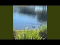Download Lagu A Contrast Between Two Things Regarded as Completely Different AG2G