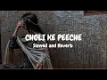 Choli ke Peeche(Slowed And Reverb) Diljit Dosanjh,Ip Singh Alka Yagnik IIa Arun| Soulful Lofi Remix