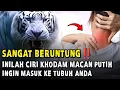 Download Lagu ANDA SANGAT BERUNTUNG JIKA ALAMI INI ‼️ 7 CIRI KHODAM MACAN PUTIH INGIN MASUK KE TUBUHMU