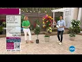 HSN HSN Today with Tina Ty - Garden Sale 03 17 2023