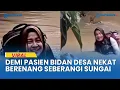 Download Lagu Jembatan Putus, Bidan Desa Nekat Berenang Seberangi Sungai Sambangi Pasien TBC