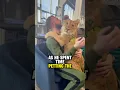 A lion cub's loneliness is healed by the love of a kind man ❤️