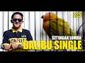 Download Lagu BALIBU : Setingan Lomba Burung SINGEL (2/5)