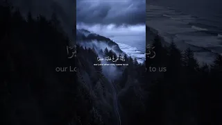 ربنا أفرغ علينا صبر ا القارئ المنشاوي حالات واتس اب قرآن 