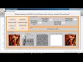 MATLAB code of high capacity steganography with color image and alpha channel