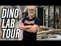 Adam Savage Tours the AMNH FOSSIL Lab
