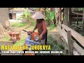 Download Lagu Menyiksa | Letong tebalnya 1 meter untuk alas tidur sapi