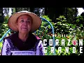 Mujeres de Corazon Grande en la cocina tradicional de Xochimilco conoce restaurante Chantico