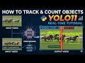 How to Track and Count Objects Using YOLO11