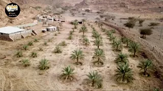 يارب قصدتك وانت الكريم دعوتك وانت العظيم دعاء رائع لن تمل من سماعه دندنها