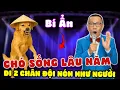 Lagu Tâm Sự Đêm Khuya: Bí Ẩn Nuôi Chó Lâu Năm, Biết Đi 2 Chân Đội Nón Như Người