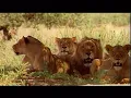 The Best South Africa Video