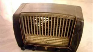 ربيع البركه 