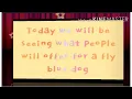 What is a fly blue dog worth