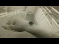 Hammock - Circular As Our Way